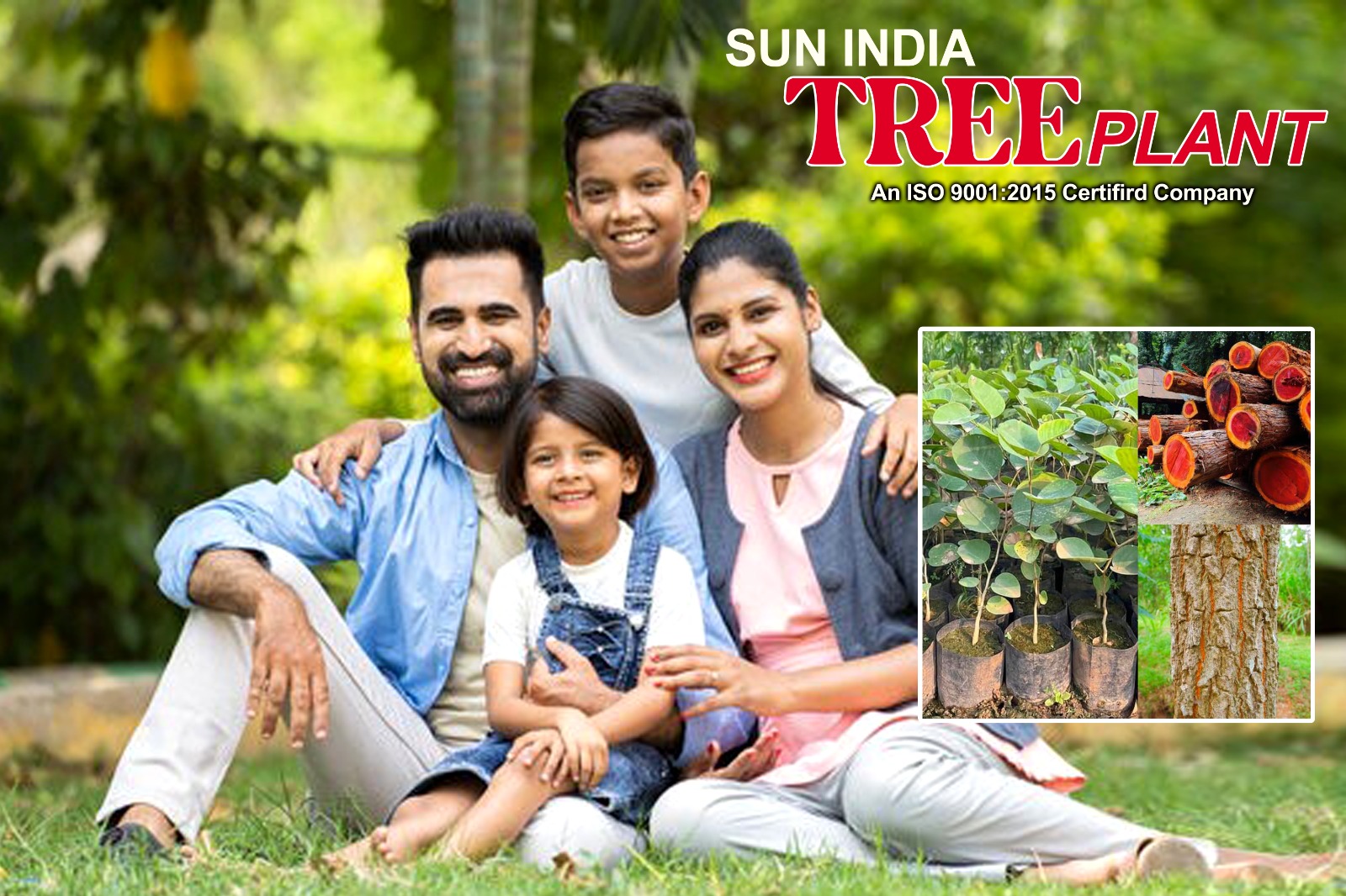 Successful Plantation